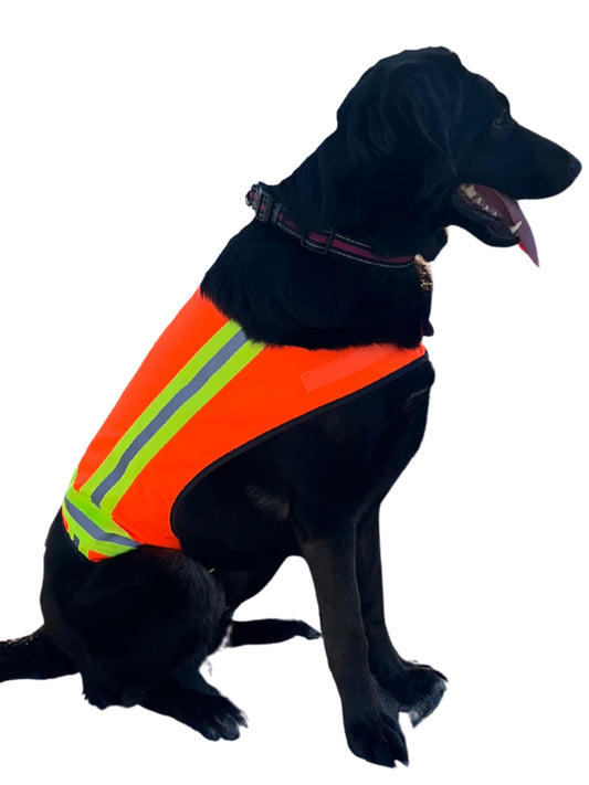 BUDDY GLOW Water-Resistant High-Visibility Dog Vest, Hi Visibility Orange, Large