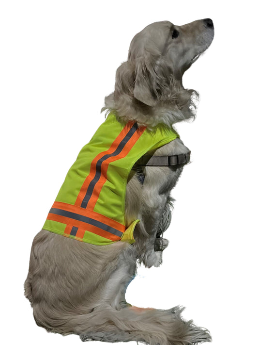 BUDDY GLOW Extra Lightweight Breathable Reflective Dog Vest, Hivis Yellow, Medium