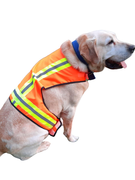BUDDY GLOW Water-Resistant High-Visibility Dog Vest, Hi Visibility Orange, Medium