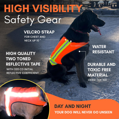 BUDDY GLOW Water-Resistant High-Visibility Dog Vest, Hi Visibility Orange, Large