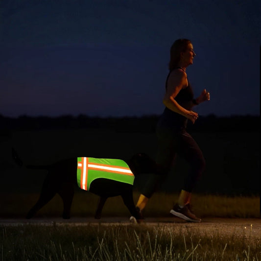 Reflective Dog Vest - Hi-Vis Yellow, Lightweight & Breathable