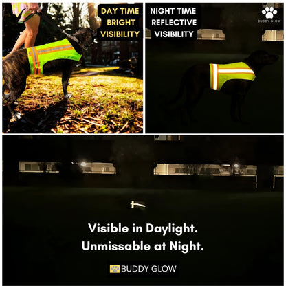 Reflective Dog Vest - Hi-Vis Yellow, Lightweight & Breathable (Tiny Breed, Extra Small)