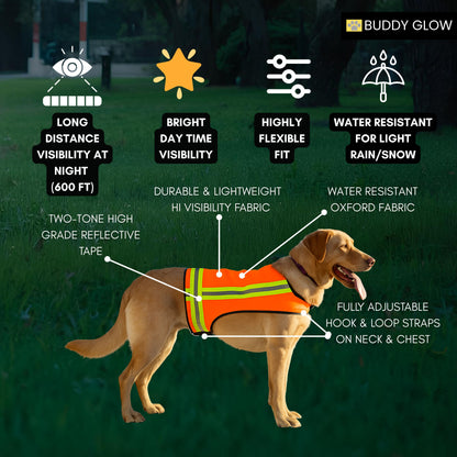 Reflective Dog Vest - Hi-Vis Orange, Lightweight & Water-Resistant (Tiny Breed, Extra Small)