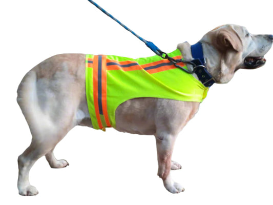 BUDDY GLOW Extra Lightweight Breathable Reflective Dog Vest, Hivis Yellow, Large