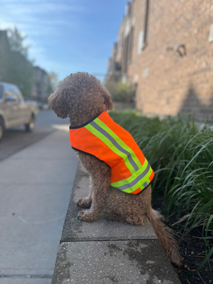 BUDDY GLOW Water-Resistant High-Visibility Dog Vest, Hi Visibility Orange, Small