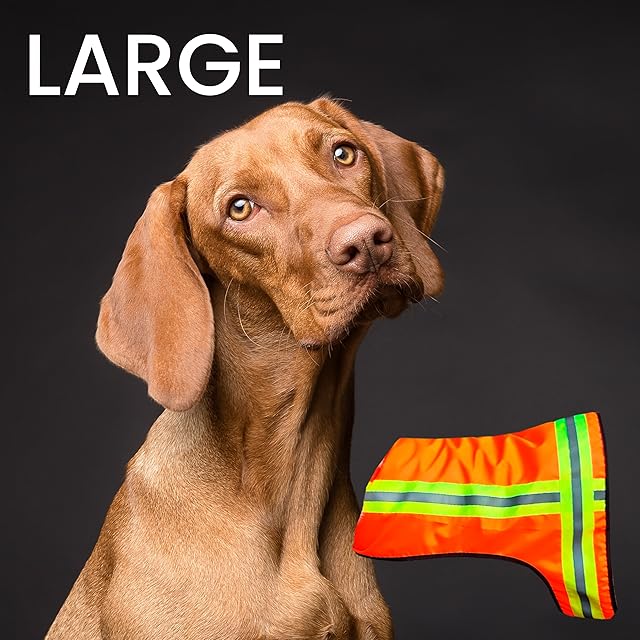 BUDDY GLOW Water-Resistant High-Visibility Dog Vest, Hi Visibility Orange, Large