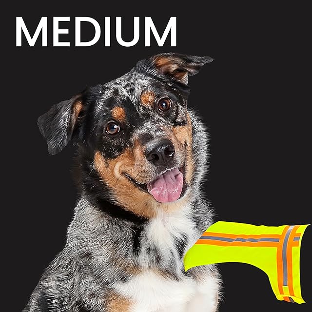 BUDDY GLOW Extra Lightweight Breathable Reflective Dog Vest, Hivis Yellow, Medium
