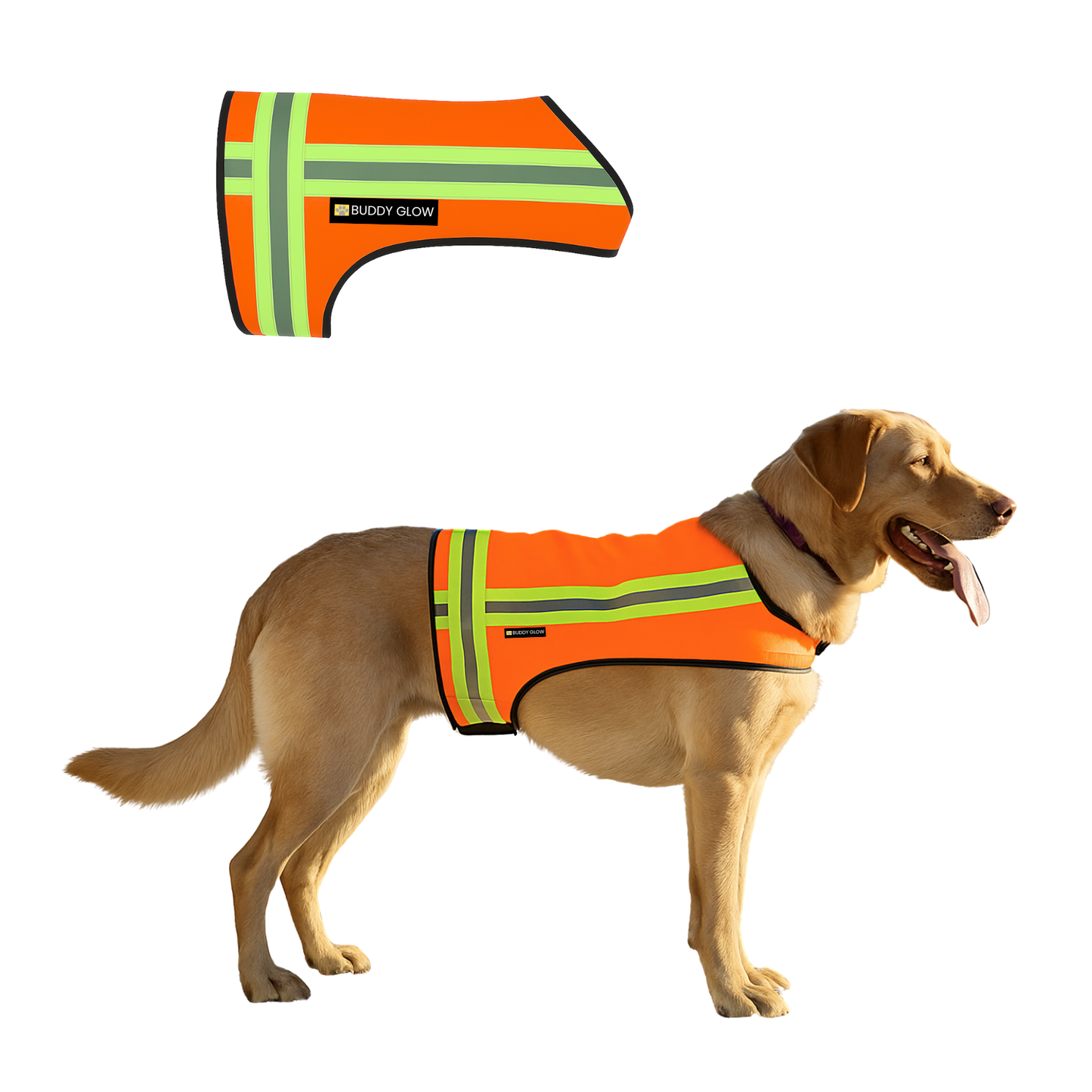 Reflective Dog Vest - Hi-Vis Orange, Lightweight & Water-Resistant
