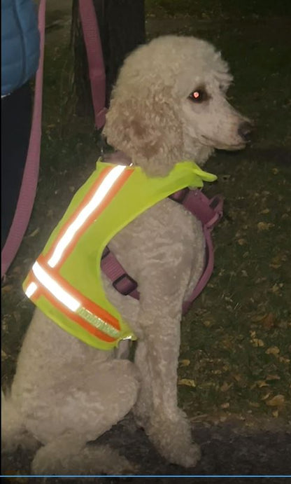 BUDDY GLOW Extra Lightweight Breathable Reflective Dog Vest, Hivis Yellow, Medium