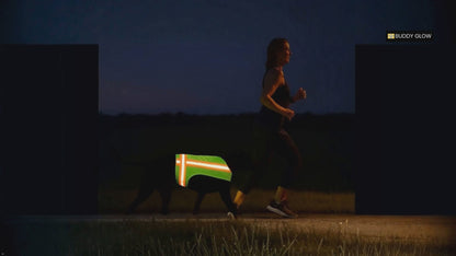 Reflective Dog Vest - Hi-Vis Yellow, Lightweight & Breathable